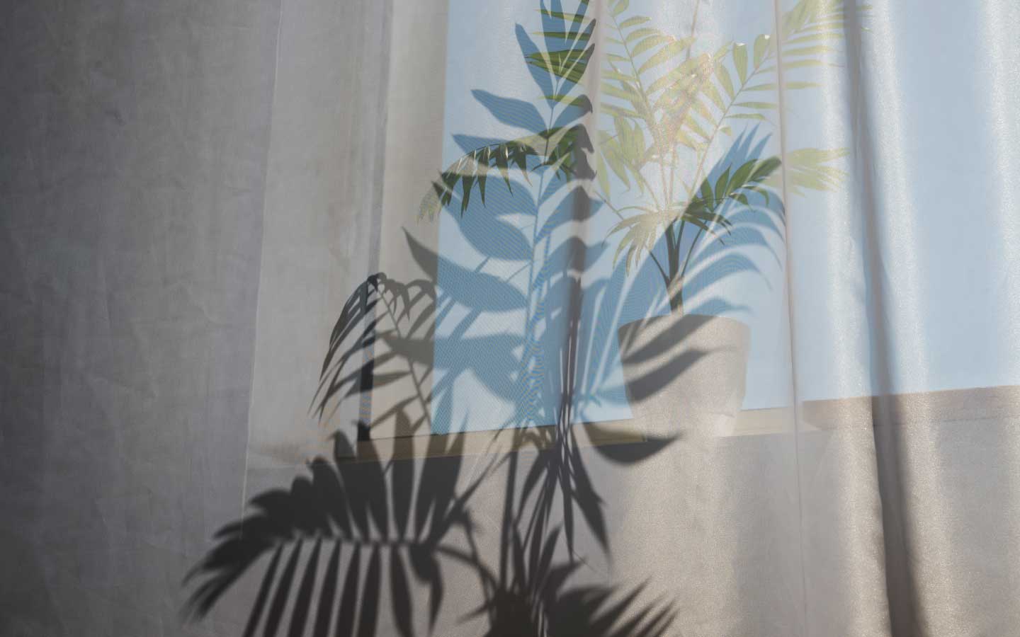 Bagaimana cara menghubungi seorang detektif